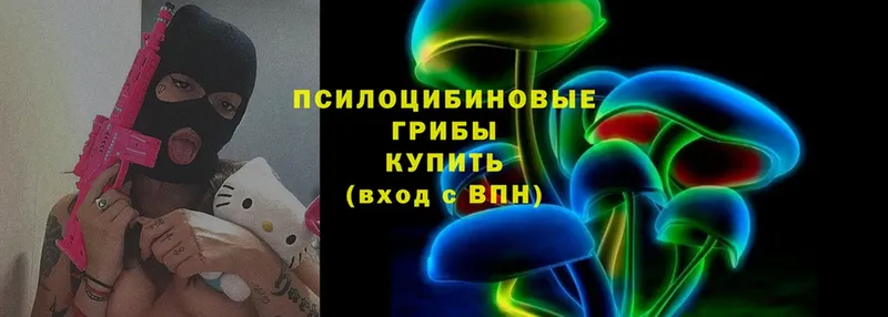 Псилоцибиновые грибы Psilocybine cubensis  Арсеньев 